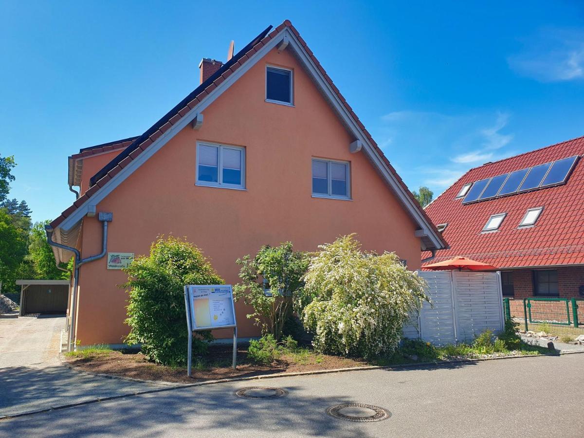 Moderne Fewo Nr 4 Mit Balkon, Sauna Im Haus, Garten - Ferienwohnungen Am Wald Klein Gelm Kültér fotó